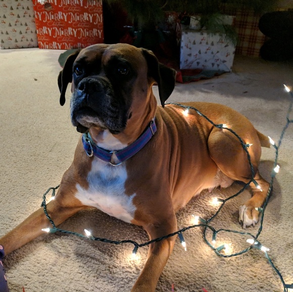 minnielegs